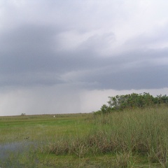 Florida2006 182